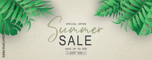 Summer banner template for advertising summer arrivals collection or seasonal sales promotion