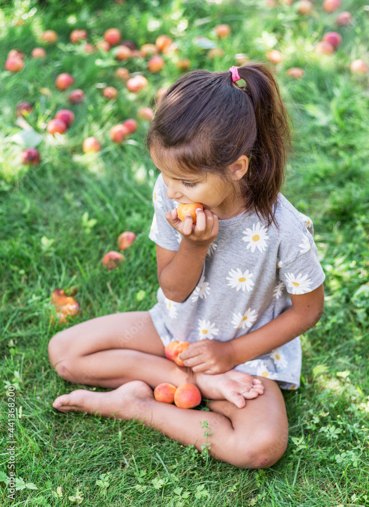 Girl is holding ripe apricots under the apricot tree. Girl is holding ripe apricots under the apricot tree.