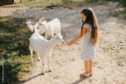 Girl with long hair feeding goats.