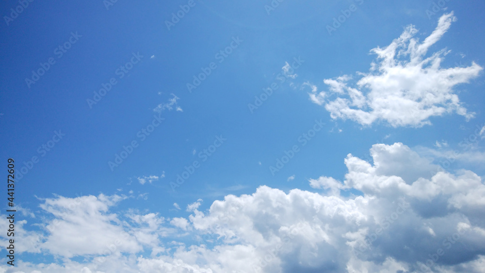 Fototapeta premium 初夏の青空