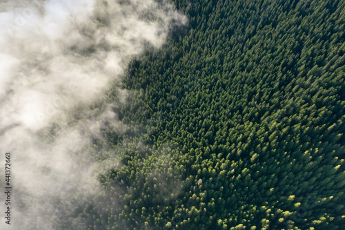 Fog or cloud over mountain forest. Top view.