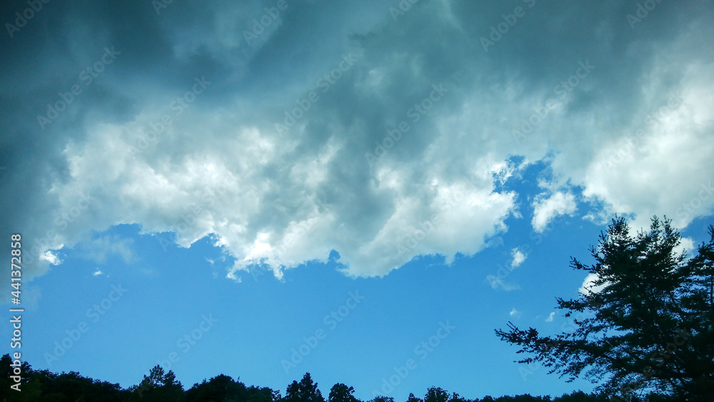 Obraz premium 初夏の雨雲と木々