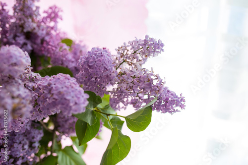A bouquet of blooming lilacs. A bouquet of lilacs on the window. Seasonal flowers close up.