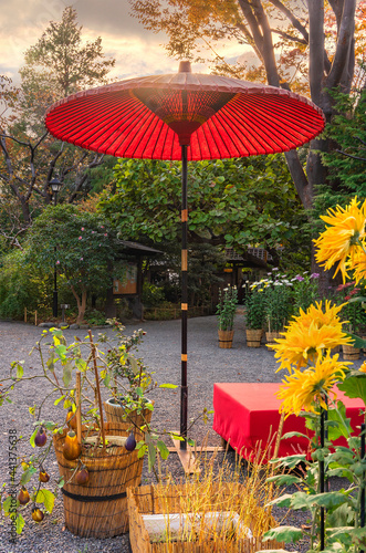 Japanese yellow Edo Chrysanthemum flowers and Terajima eggplants with a traditional nodategasa paper umbrella in the Mukojima-Hyakkaen Gardens of mukojima at sunset. photo