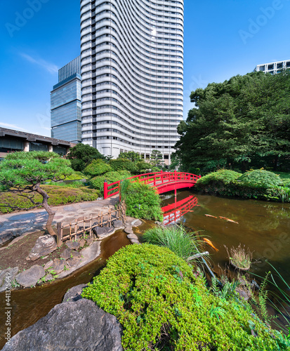 Japanese carps swimming in the Seisen-ike pond of the Hotel New Otani Japanese Garden crossed by a traditional red Taikobashi bridge surrounded by pine and maple trees. photo