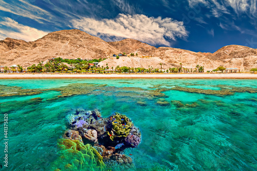 Fototapeta Naklejka Na Ścianę i Meble -  Coral reefs, concept of biodiversity of marine ecosystems untouched by human activities, concept of vacation, diving, resting and sport on exotic beaches of the Red Sea, Middle East