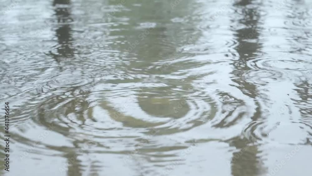 Rain drops falling on water surface. Closeup. Splashing Monsoon Raindrops on pond water. Beautiful Rainy Season Background. Slow motion stock Footage. Sound Effect. Abstract nature texture pattern. Rain drops falling on water surface. Closeup. Splashing Monsoon Raindrops on pond water. Beautiful Rainy Season Background. Slow motion stock Footage. Sound Effect. Abstract nature texture pattern.