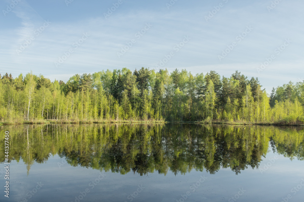 lake in the woods