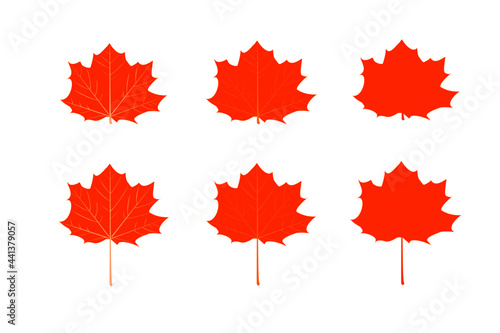 orange maple leaves icon different design on white background.maple leaf sign,flat style.concept for sign, symbol, icon ect