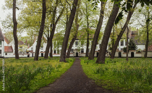 Beautiful european village of houses between a courtyard of tall trees & green garden. 