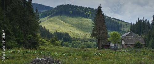 Old abandoned wooden house in the mountains. Ukrainian Carpathian mountains. © Vitaly