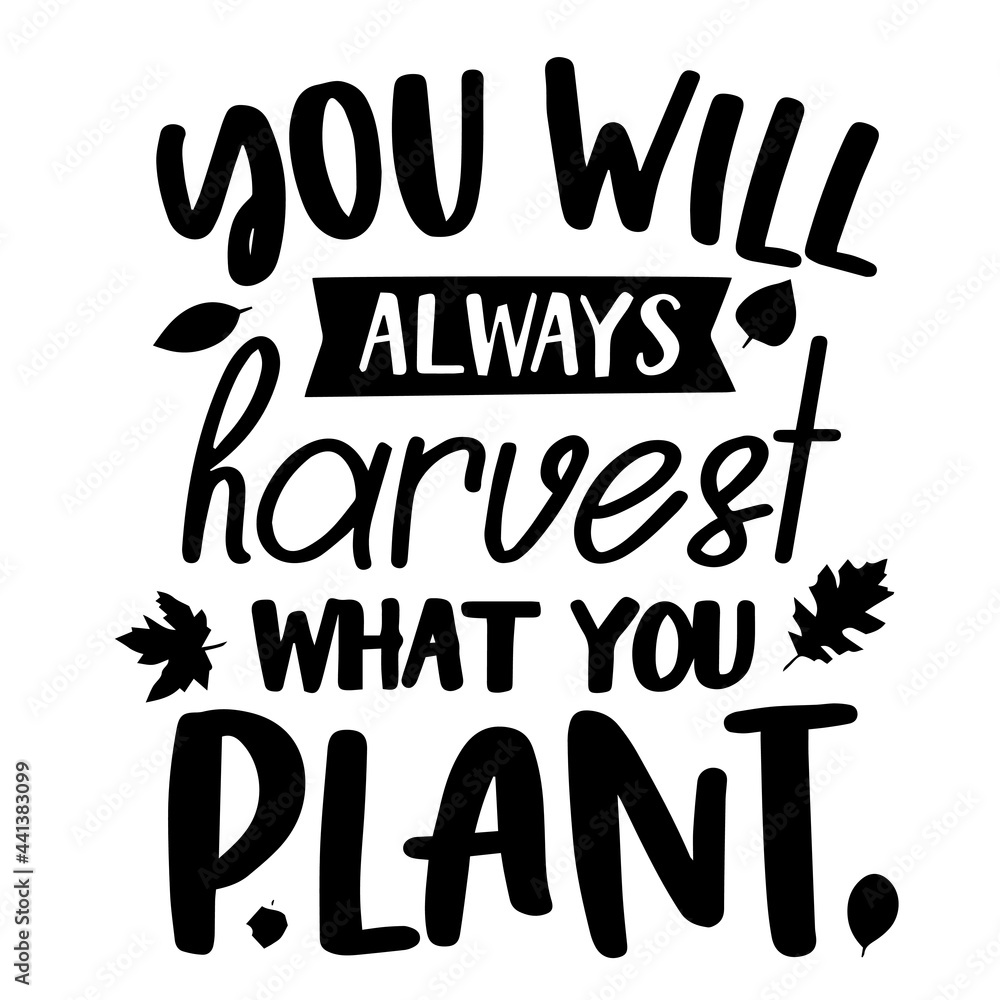 you will always harvest what you plant inspirational quotes, motivational positive quotes, silhouette arts lettering design