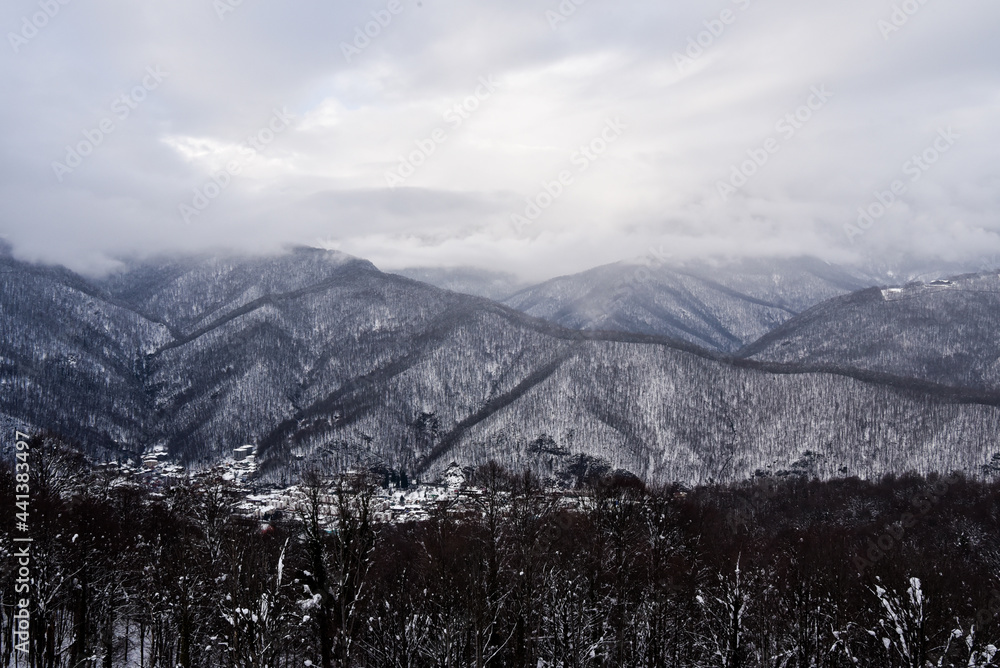 snow covered mountains