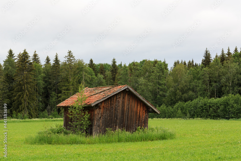 old crumbling wooden cabin in a field