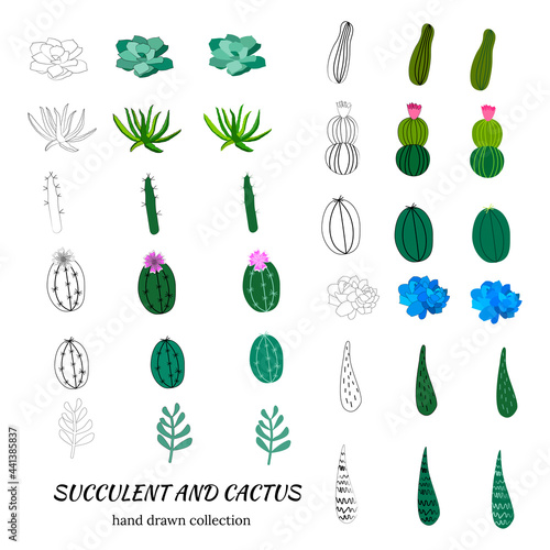 Set of hand drawn cacti and succulents. Spiny desert plants, cactus flowers and tropical plants. Vector collection of doodle plants.
