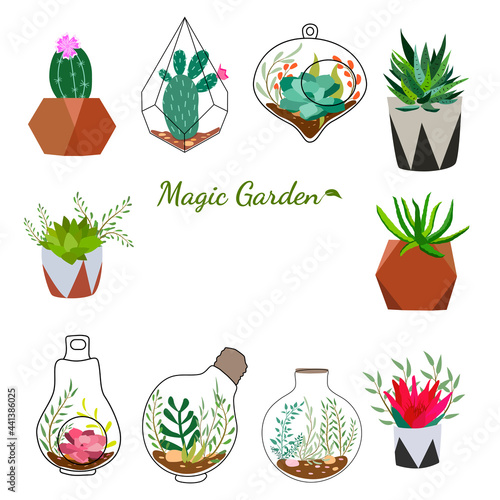 Set of hand drawn cacti and succulents. Collection of plants in pots. Spiny desert plants, cactus flowers and tropical plants. Vector collection of doodle plants.