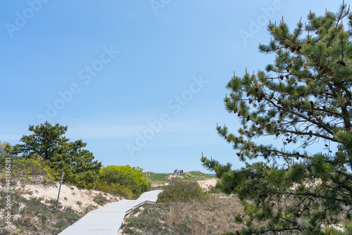 Wooden walking path in sand dunes on an island on the Atlantic Ocean