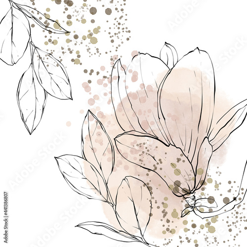 Digital watercolor and line art magnolia background. Lina drawing  flowers on white background for create wallpapers on desktop, scrapbook paper, web design photo