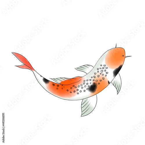 Koi fish digital illustration art