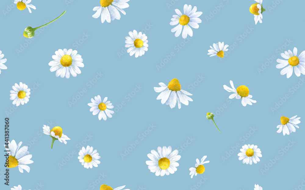 カモミールのシームレスパターン 水彩イラスト Stock Illustration Adobe Stock