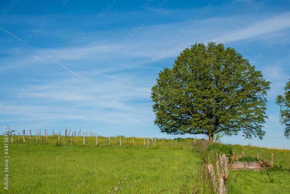 French rural landscape during summer