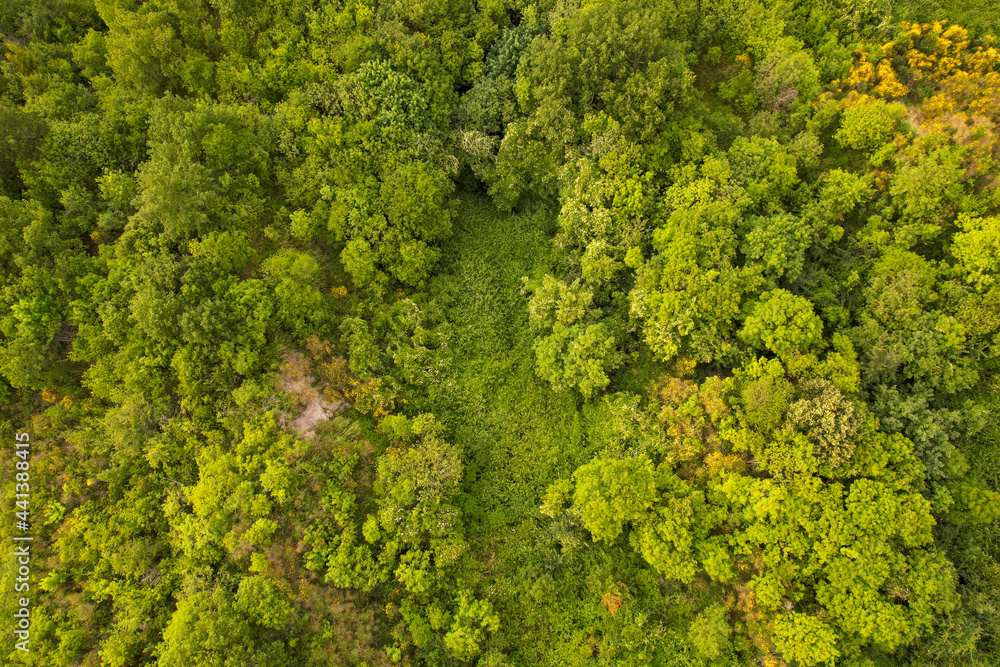 Beautiful view of the forest of Toscana Italy from above photographed with a drone. Drone photography, Tuscany, Siena region 