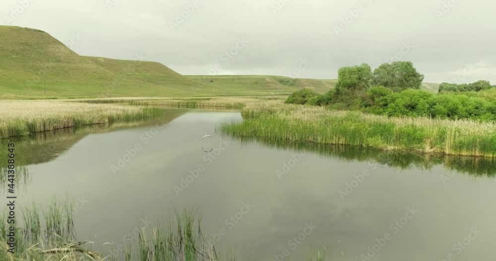 Stork flight on the river with beauty calm swampy backwater with reeds and thickets and bald hills background. Aerial above drone wide view at summer cloudy day. Stork flight on the river with beauty calm swampy backwater with reeds and thickets and bald hills background. Aerial above drone wide view at summer cloudy day.