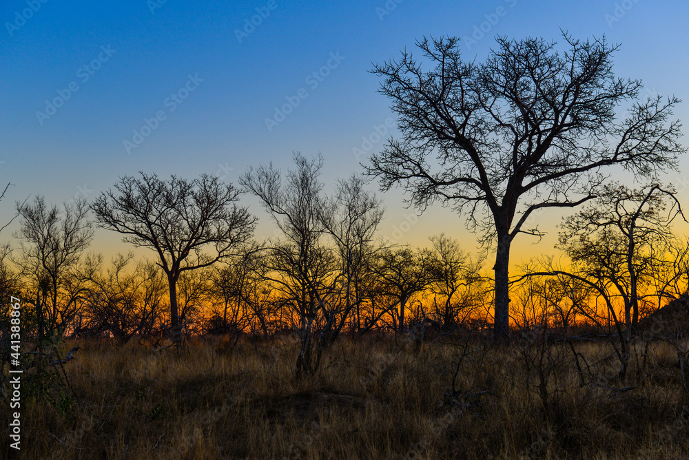 Sunset on the woodlands of southern Kruger National Park, South Africa