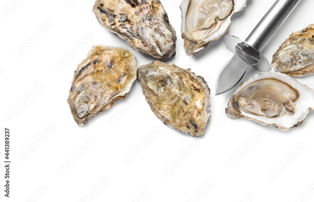 Fresh raw oysters and knife on white background, top view Fresh raw oysters and knife on white background, top view