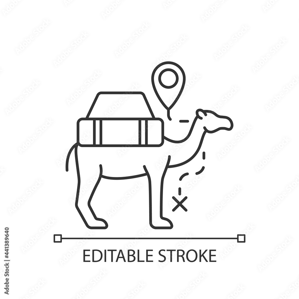 Camel caravan linear icon. Travel in Egypt. Mammal for safari transportation. Tourism industry. Thin line customizable illustration. Contour symbol. Vector isolated outline drawing. Editable stroke