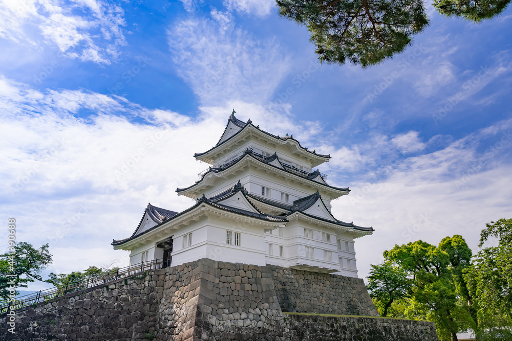 神奈川県小田原市　小田原城(天守閣)