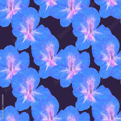 Gladiolus. Illustration  texture of flowers. Seamless pattern for continuous replication. Floral background  photo collage for textile  cotton fabric. For wallpaper  covers  print.