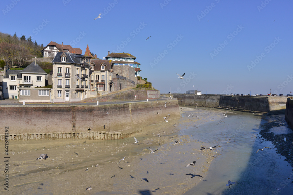 Entrée du port de Saint-Valery-en-Caux (76460) à marée basse avec ses goélands, dans le département de Seine-Maritime en région Normandie, France