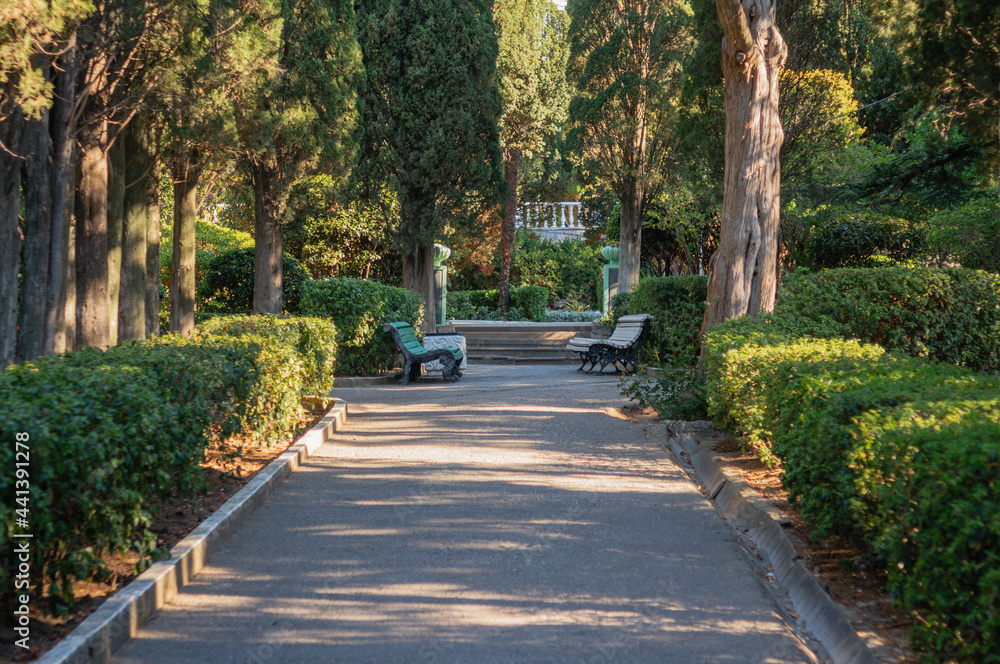 Empty park with no people at early summer morning