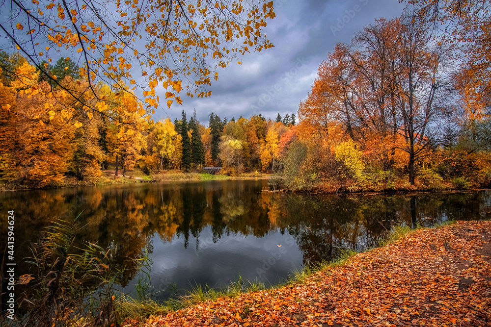 
Beautiful autumn lake.