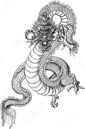 Hand drawn Dragon head isolate on whith background. Chinese lucky animai tattoo photo