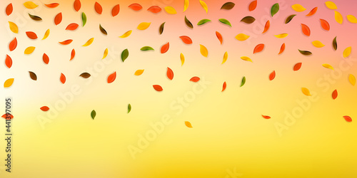 Falling autumn leaves. Red, yellow, green, brown r