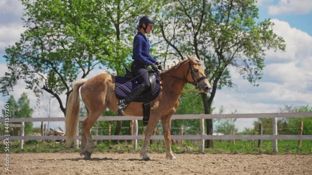 A female jockey riding on a beautiful golden horse in the sandy arena. Preparing for the competition. Slow-motion footage. Trees against cloudy blue sky in the background. A female jockey riding on a beautiful golden horse in the sandy arena. Preparing for the competition. Slow-motion footage. Trees against cloudy blue sky in the background.