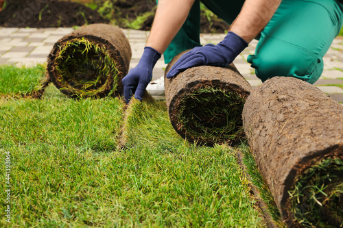 Worker unrolling grass sods at backyard, closeup photo