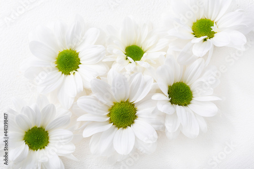 White flower chamomiles on white surface