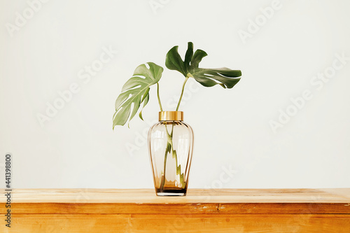 Vase with green plant on table
