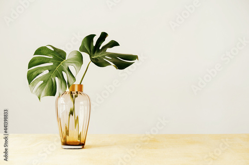 Vase with green plant on table