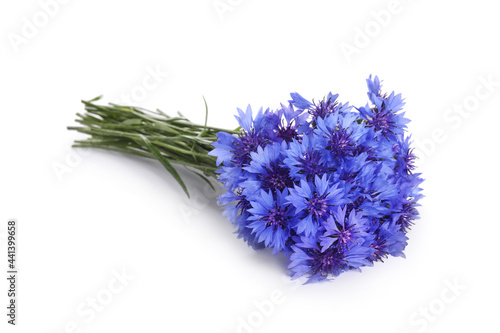 Beautiful bouquet of cornflowers isolated on white