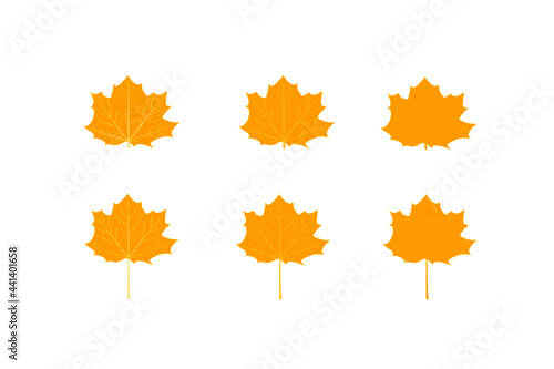 yellow maple leaves icon different design on white background.maple leaf sign,flat style.concept for sign, symbol, icon ect