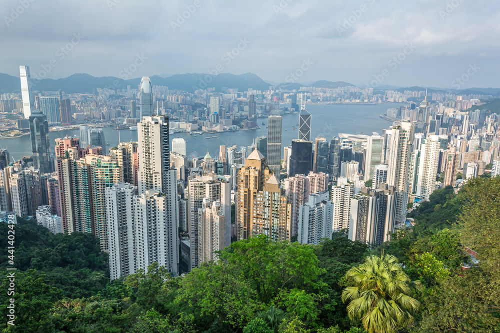 Skyline and skyscrapers of the city of Hong Kong with green jungle in the foreground