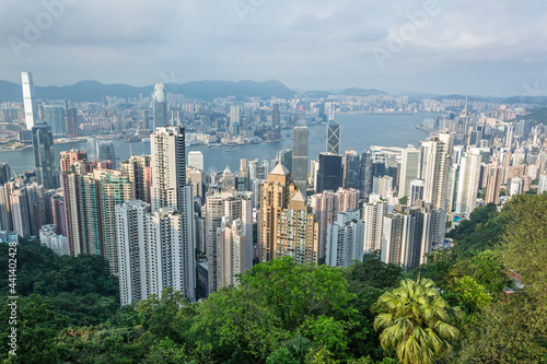 Canvas Print Skyline and skyscrapers of the city of Hong Kong with green jungle in the foregr