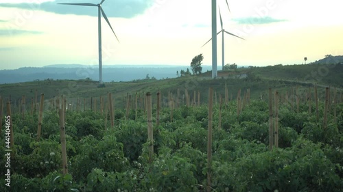 Windturbine at sunset for clean power 