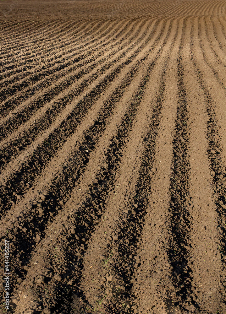 Large furrows in a plowed field for spring planting, vertical view Large furrows in a plowed field for spring planting, vertical view