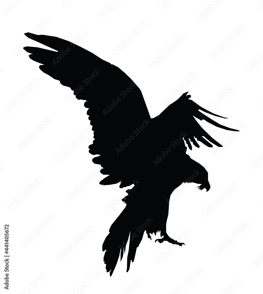 Obraz premium vulture bird with wings spread landing