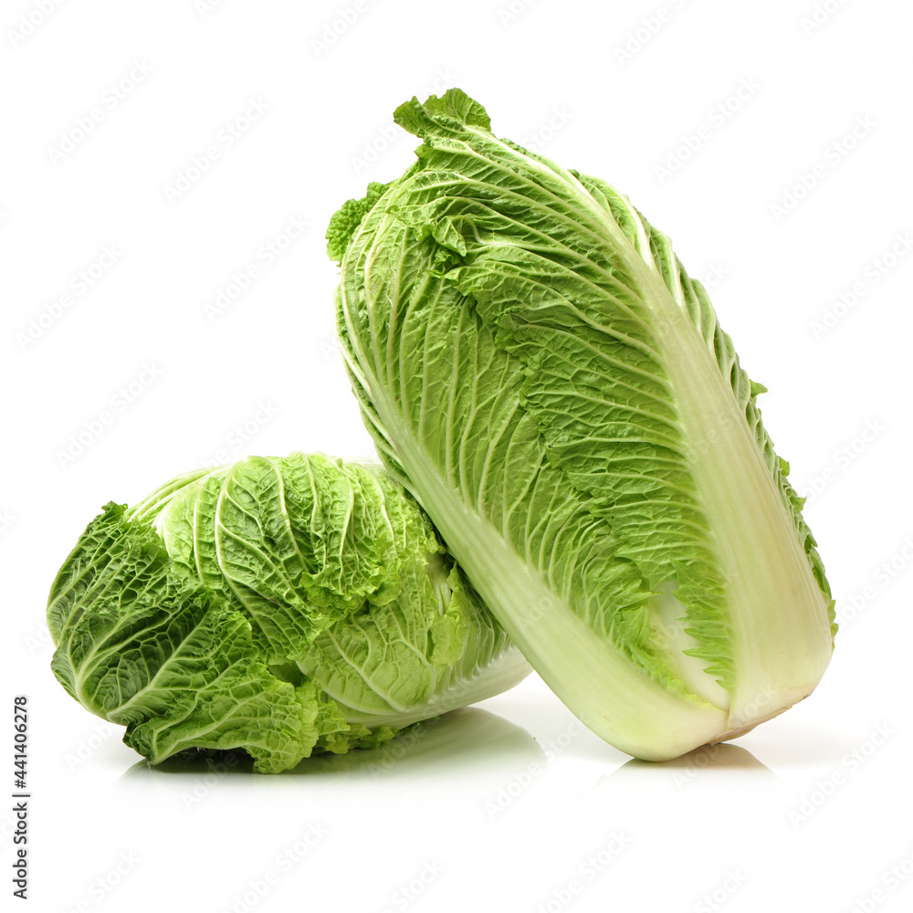 Fototapeta premium cabbage isolated on white background